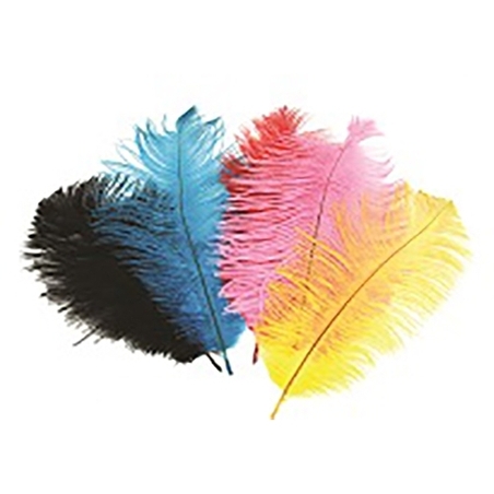 נוצות יען - גודל 21 ס