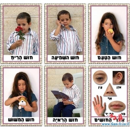 ערכת חושים GL