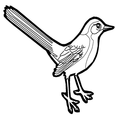 יצירה - נחליאלי לצביעה וקישוט  GL