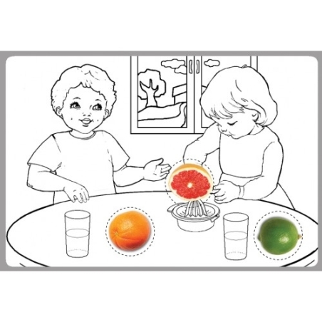 פירות הדר עבודת יצירה 36 יח` GL