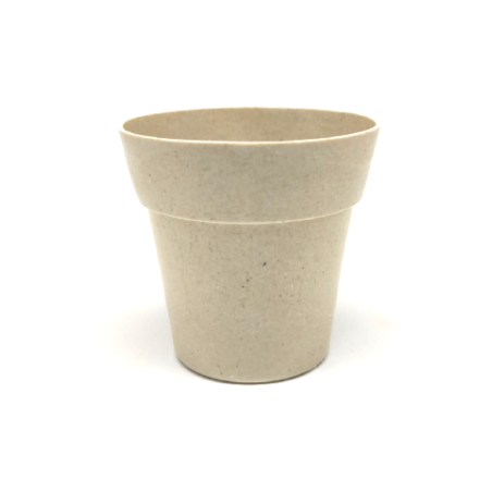 עציץ במבוק עגול