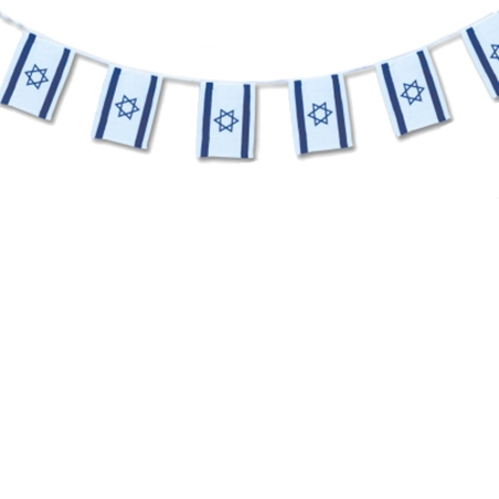 דגל שרשרת לאום בינונית 4 מטר  SR