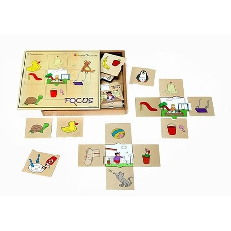 פוקוס - חיבורים DL