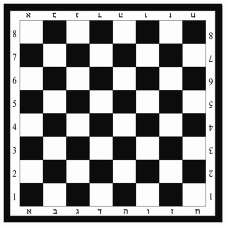 משטח לדמקה ענק משמשונית 3/3 מטר NG