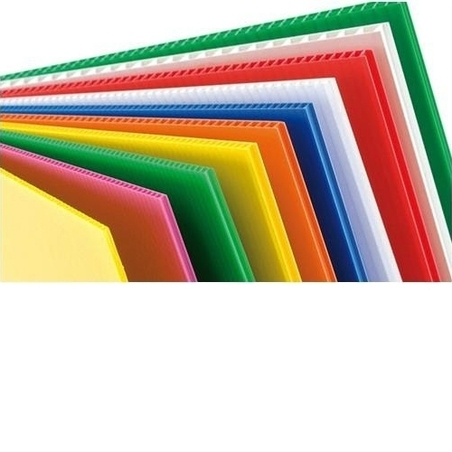 פוליגל מגוון צבעים 80/120 ס