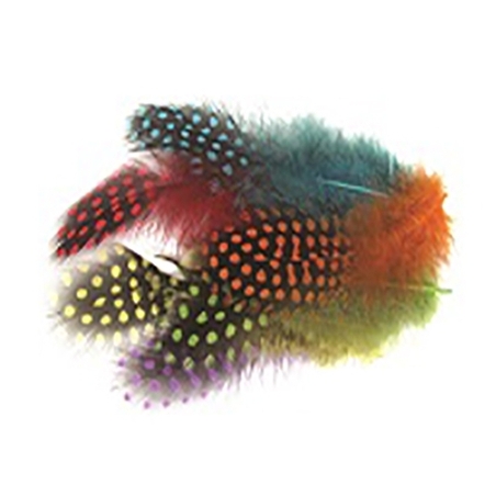 נוצות מנוקדות, 6 צבעים SK