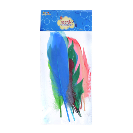 נוצות צבעוניות גדולות 1/12