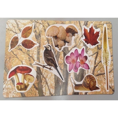 חיתוכי סתיו RR