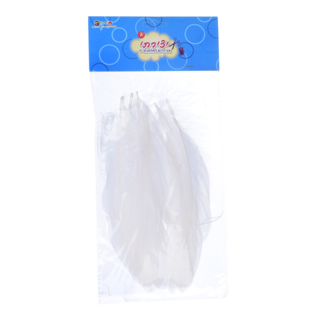 נוצות לבנות גדולות 1/12