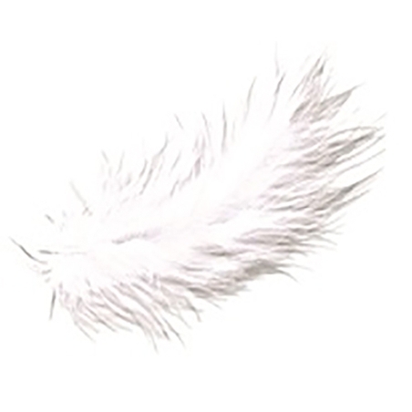 נוצות לבנות קטנות - 10 גר' SK