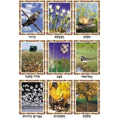 ערכת תמונות סתיו GL