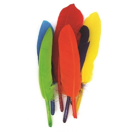 נוצות צבעוניות ארוכות 1/30 AS