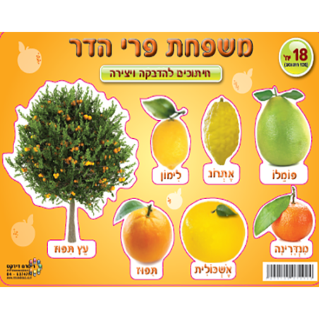 יצירה פירות הדר 1/36 RR