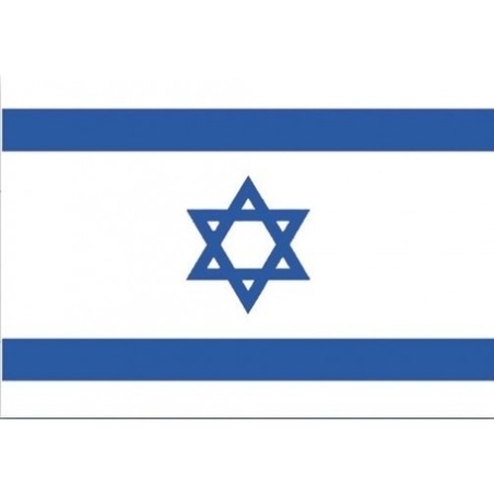 פוסטר קטן דגל המדינה GL