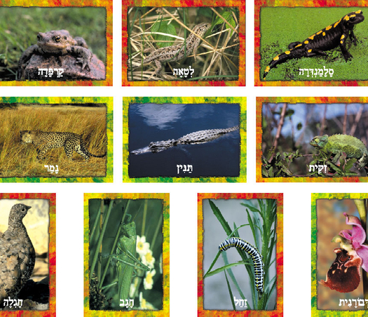 ערכת תמונות תחפושות בטבע