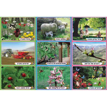 ערכת תמונות אביב