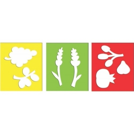 שבלונה שבעת המינים GL