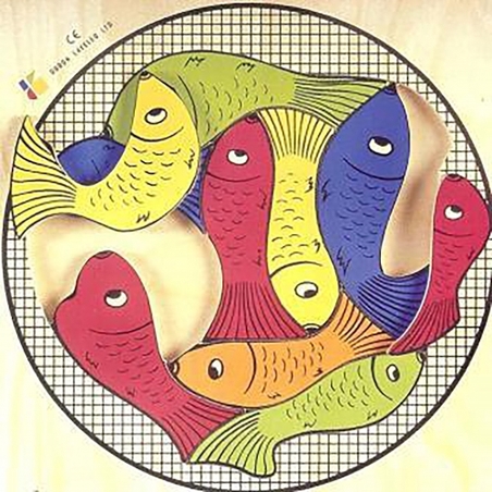 דגים דגים - זיכרון מגנטי DL