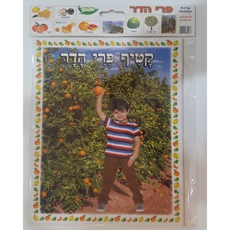 ערכת 9 תמונות פרי הדר AF