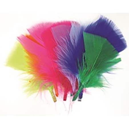 נוצות צבעוניות קטנות - 10 גר' SK