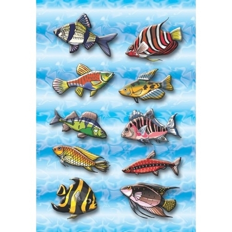 גזירות דגים GL