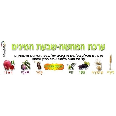 ערכת המחשה שבעת המינים ממפל RR
