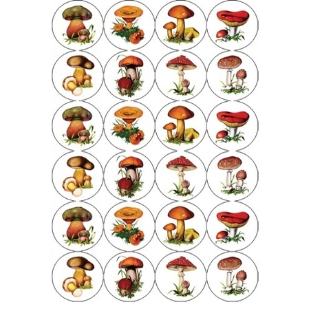 מדבקות פטריות  22 מ