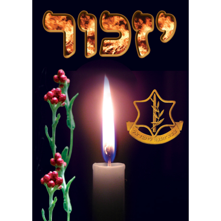 פלקט יזכור  35/50