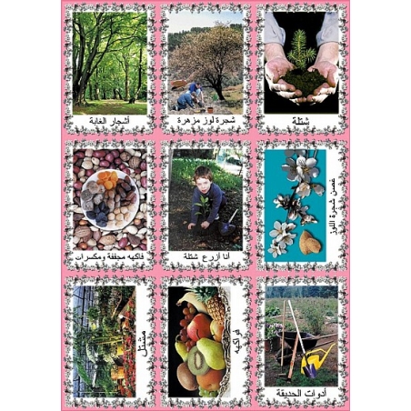 ערכת תמונות ט