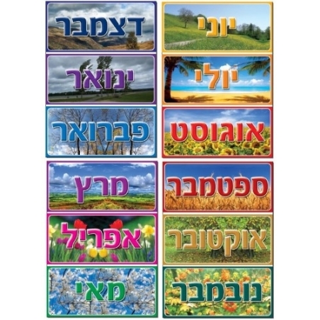 ערכת חודשי השנה לועזי  GL