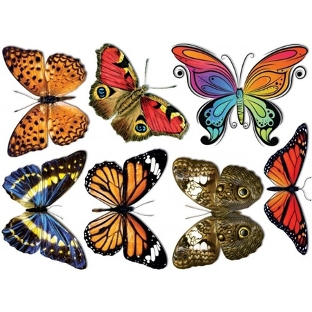 פרפרים גדולים ממפל GL