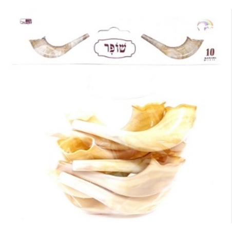 שופר טבעי 1/10