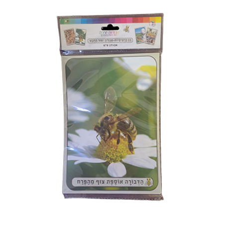 תמונות המחשה תהליך ייצור דבש