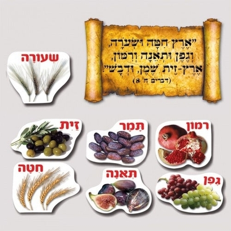 כרזה שבעת המינים