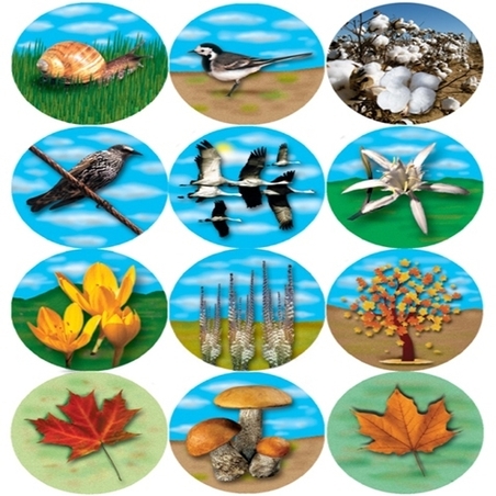 מדבקות סמלי הסתיו  30 מ