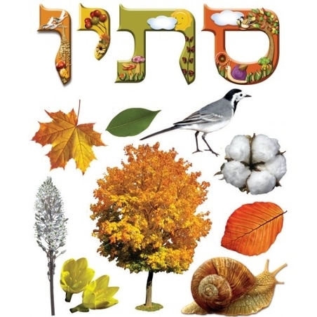 כרזה סתיו GL