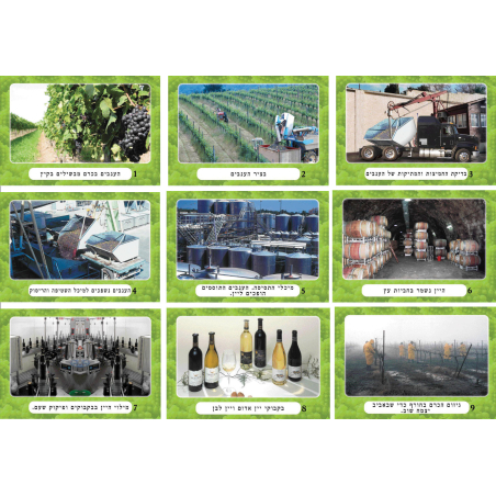 ערכת תמונות היין