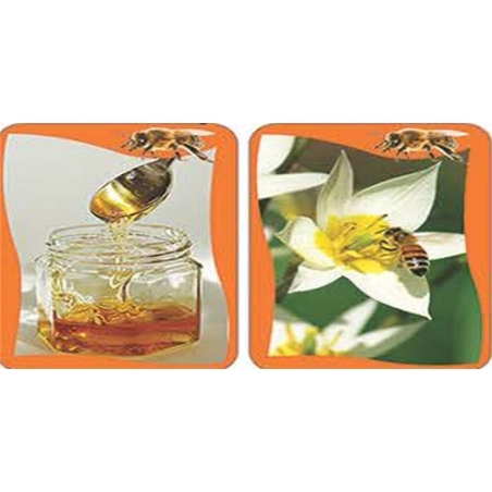 עברית שפה יפה - סיפורי רצף DI