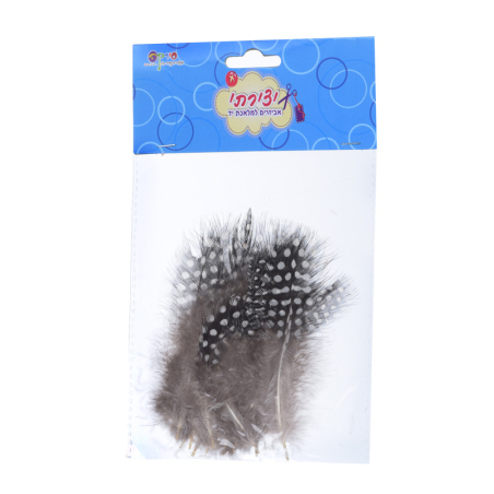 נוצות קטנות  שחורות עם נקודות לבנות 1/12