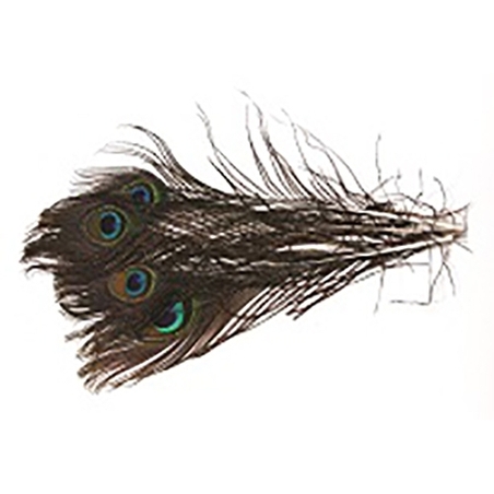 נוצות טווס - 26 ס