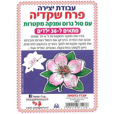 עבודת יצירה פרח שקדיה עם סול גרוס