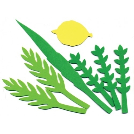 גזירות סול ארבעת המינים GL