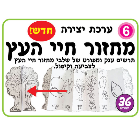 ערכת יצירה מחזור חיי העץ