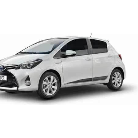 פסי הגנה לדלתות - פס קישוט