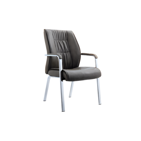 כסא אורח בכיר - BMW X5