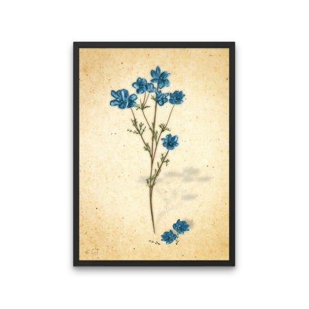 פרחים כחולים -הדפס ממוסגר