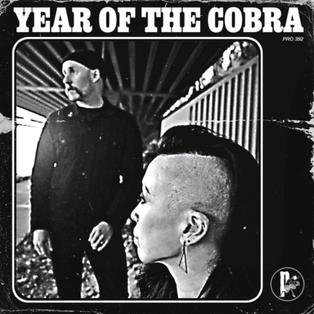 Year of The Cobra - Year of The Cobra