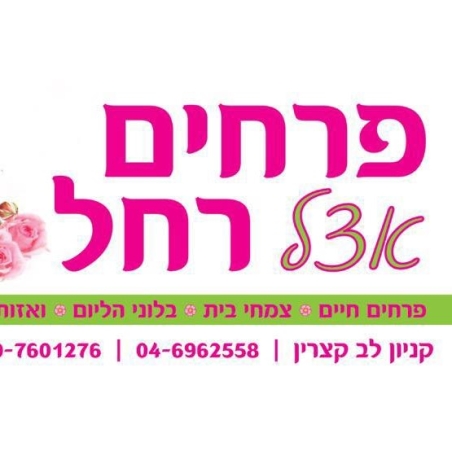 פרחים אצל רחל