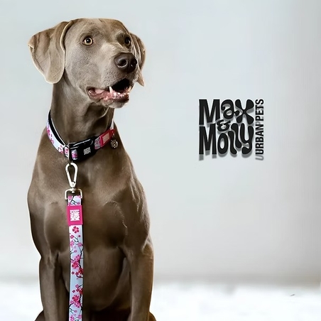 קולר פרחוני  ורווד ותכלת XS מקס & מולי