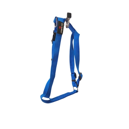 ריתמה לכלב צבע כחול רויאל 2.5cm